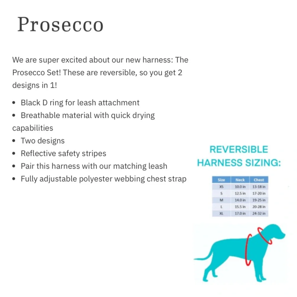 The Pet Scout Shop Prosecco Reversible Dog Harness